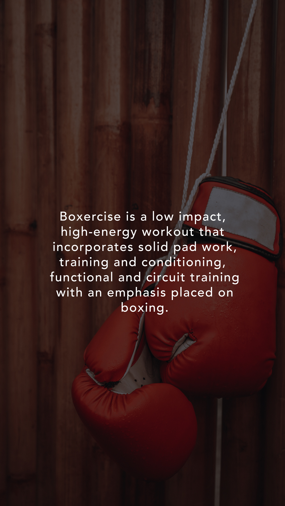 BOXERCISE_2jpg