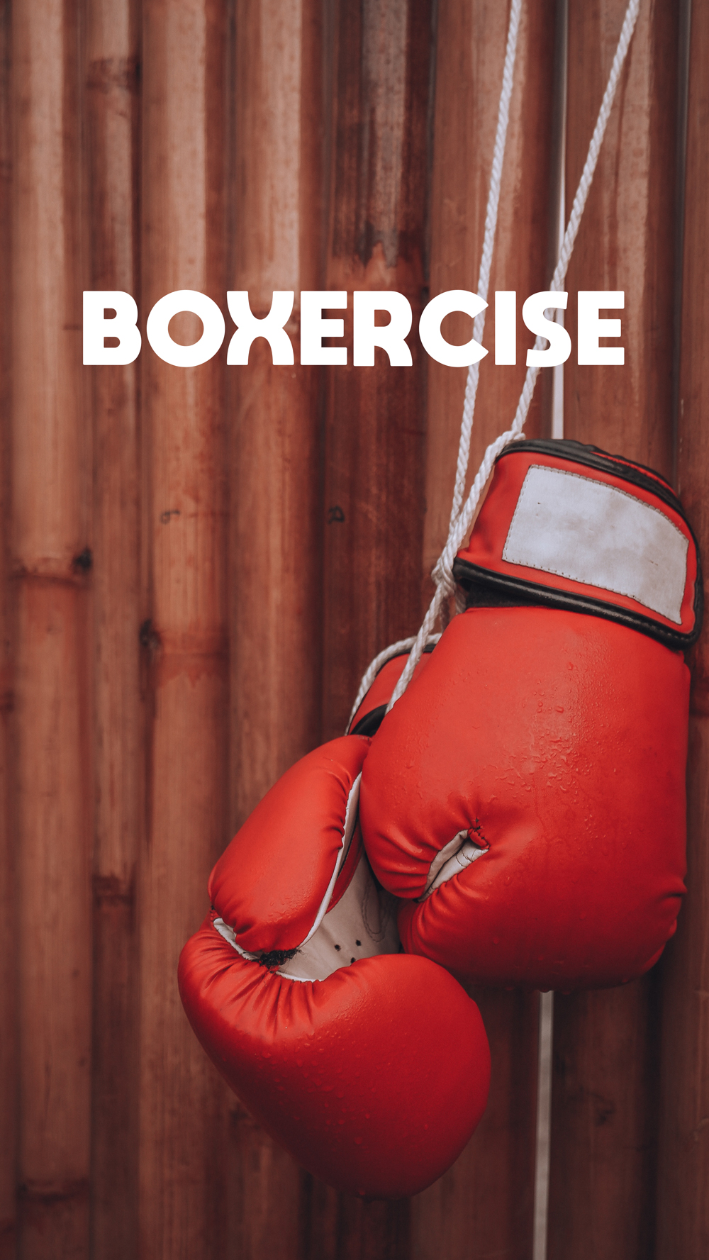 BOXERCISE_3